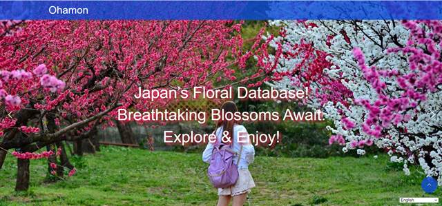 日本各地の知られざる花畑を紹介するサイト「Ohamon」